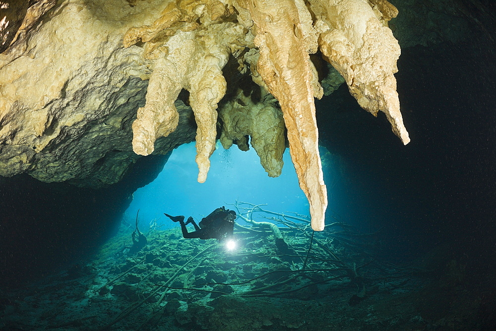 Scuba Diver in Car Wash Cenote Aktun Ha, Tulum, Yucatan Peninsula, Mexico