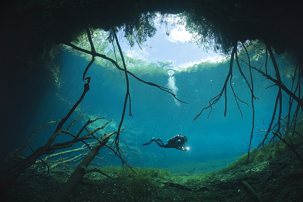 Scuba Diver in Car Wash Cenote Aktun Ha, Tulum, Yucatan Peninsula, Mexico