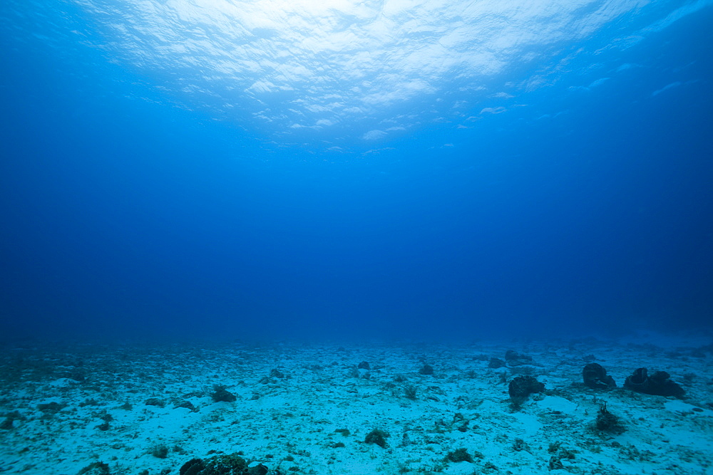 Sandy Bottom and Watersurface, Cozumel, Caribbean Sea, Mexico