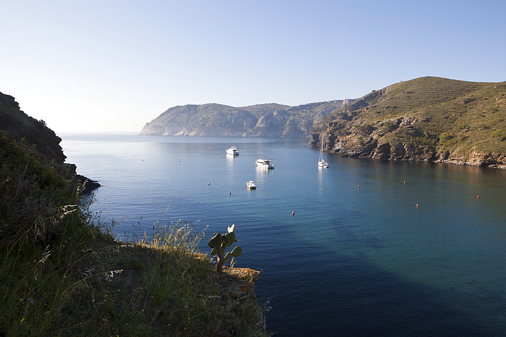 Bay of Cala Joncols, Cap de Creus, Costa Brava, Spain, Mediterranean, Europe