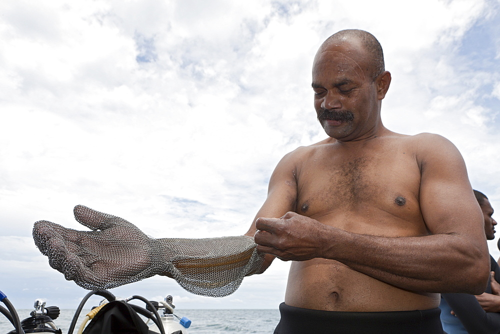 Shark feeder prepares himself with chain gloves, Beqa Lagoon, Viti Levu, Fiji, South Pacific, Pacific