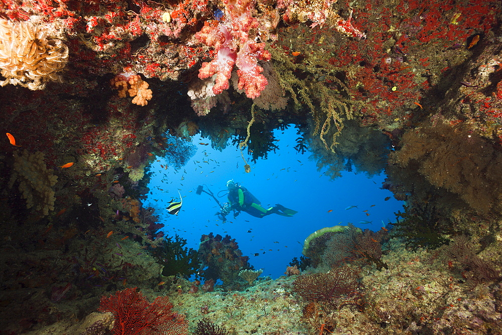 Scuba diver behind swimthrough, Namena Marine Reserve, Fiji, Pacific