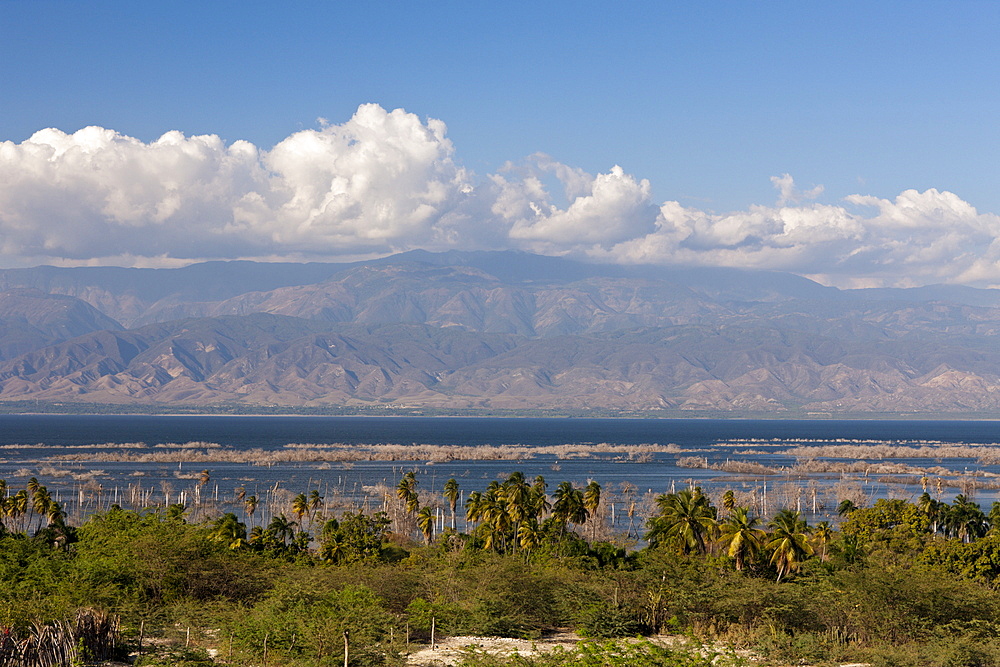 Salt lake Lago Enriquillo, Independencia Province, Dominican Republic, West Indies, Central America