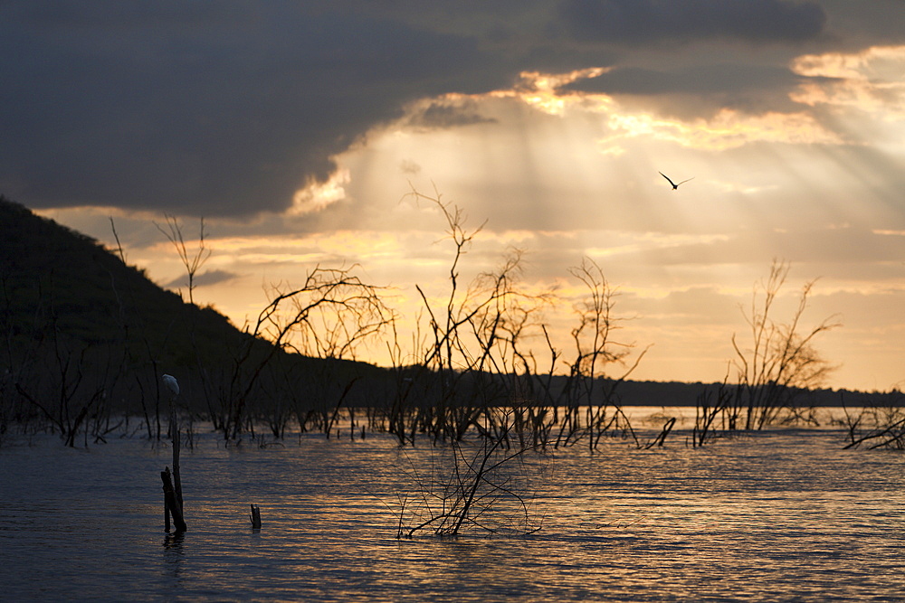 Dawn at Saltlake Lago Enriquillo, Isla Cabritos National Park, Dominican Republic, West Indies, Central America