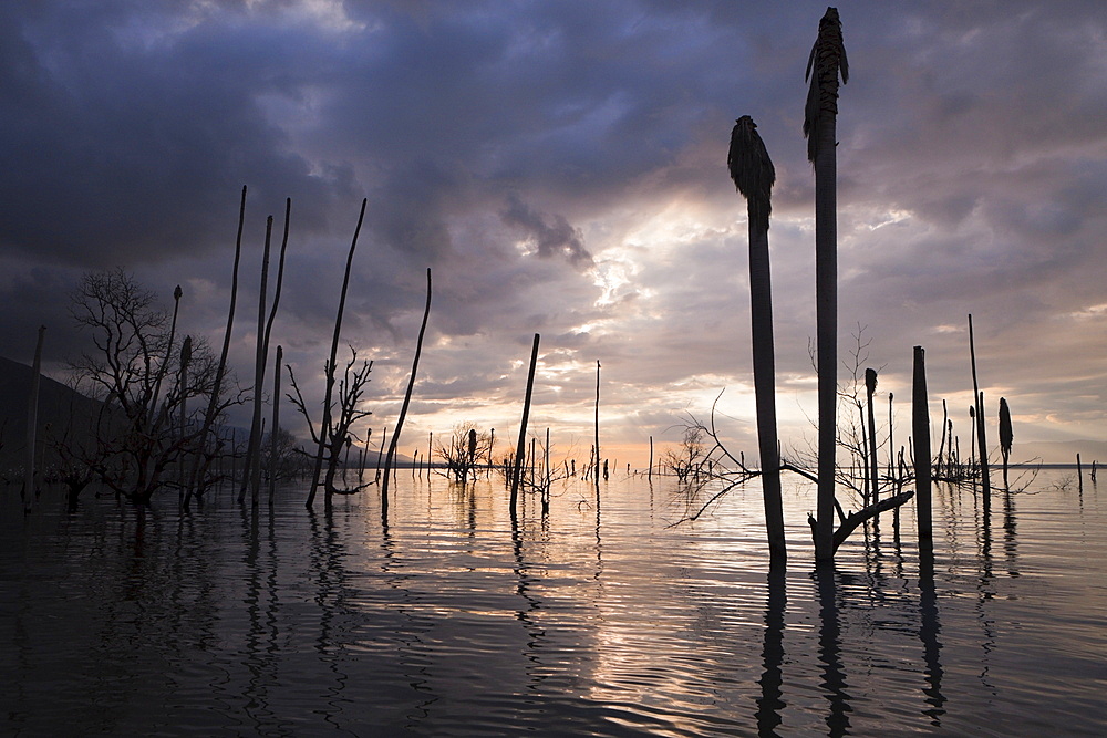 Dawn at Saltlake Lago Enriquillo, Isla Cabritos National Park, Dominican Republic, West Indies, Central America