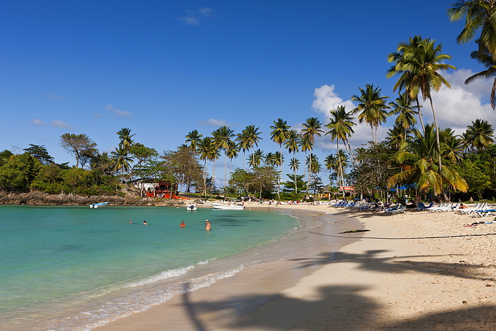 Playa Rincon Beach near Las Galeras, Samana Peninsula, Dominican Republic, West Indies, Central America