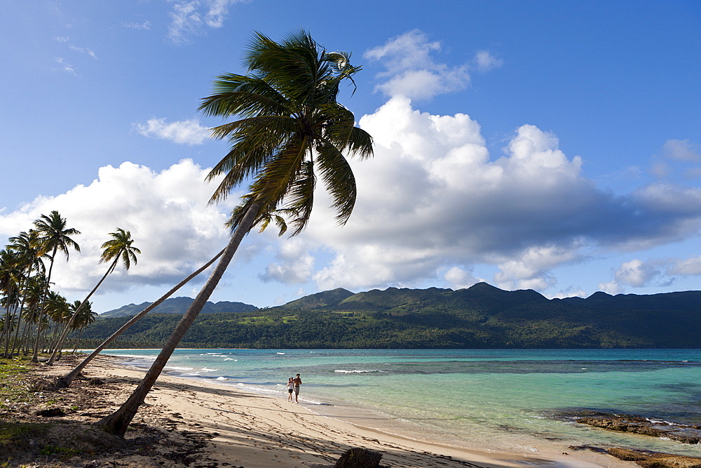 Playa Rincon Beach near Las Galeras, Samana Peninsula, Dominican Republic, West Indies, Central America