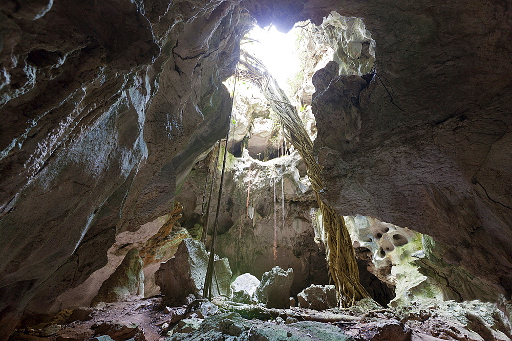 San Gabriel Limestone Cave, Los Haitises National Park, Dominican Republic, West Indies, Central America