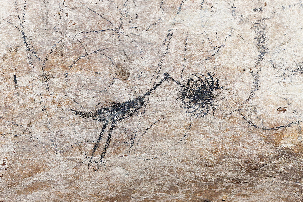 Pre-Columbian Rock paintings inside La Linea Limestone Cave, Los Haitises National Park, Dominican Republic, West Indies, Central America