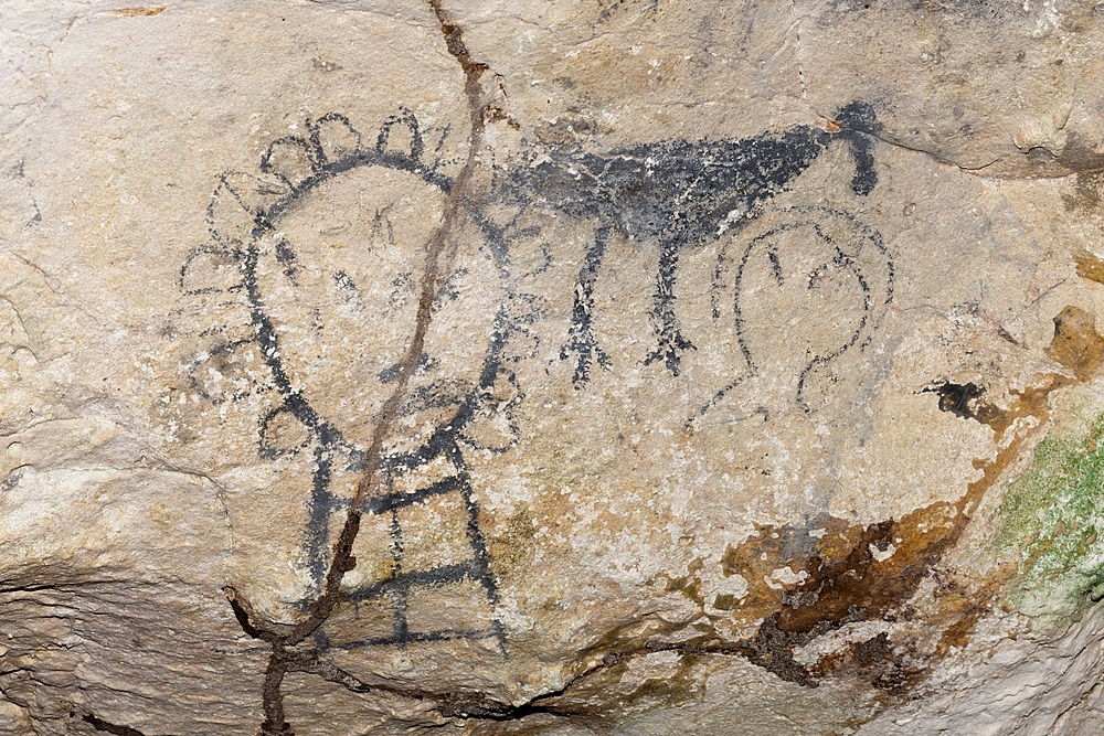 Pre-Columbian Rock paintings inside La Linea Limestone Cave, Los Haitises National Park, Dominican Republic, West Indies, Central America