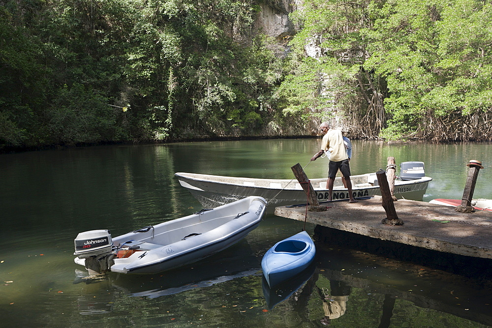 Excursion into mangroves, Los Haitises National Park, Dominican Republic, West Indies, Central America