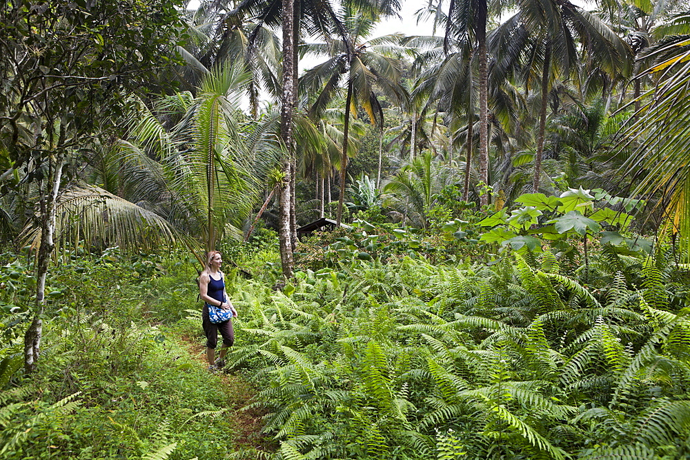 Hiking at Los Haitises National Park, Dominican Republic, West Indies, Central America