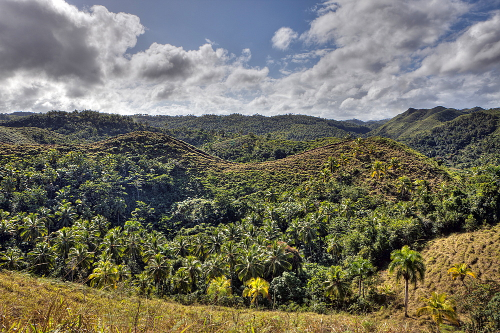 Hills of Las Terrenas, Samana Peninsula, Dominican Republic, West Indies, Central America