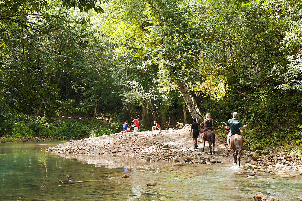 Horseback tour to the Waterfall Cascada El Limon, Las Terrenas, Samana Peninsula, Dominican Republic, West Indies, Central America