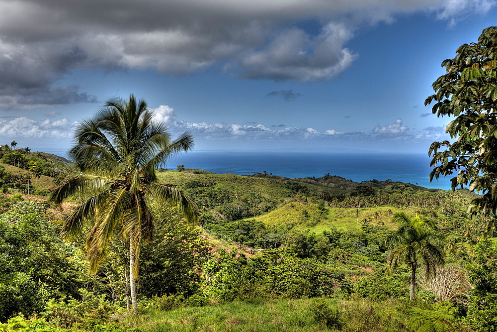 Landscape of Las Terrenas, Samana Peninsula, Dominican Republic, West Indies, Central America