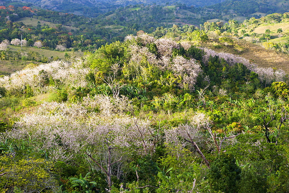 Hills in the Outback, Punta Rucia, Dominican Republic, West Indies, Central America