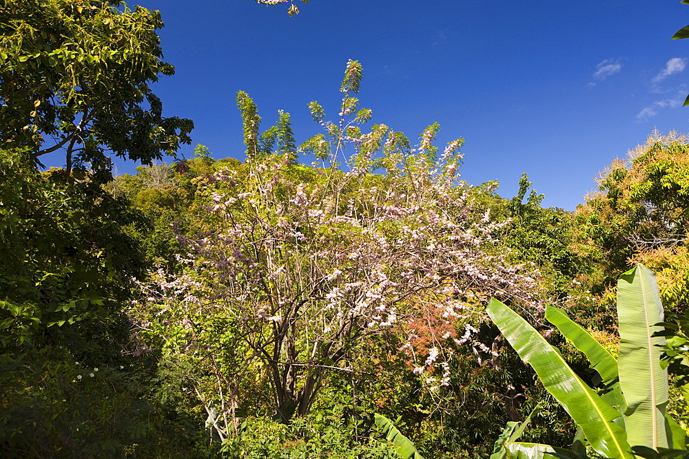 Hills in the Outback, Punta Rucia, Dominican Republic, West Indies, Central America