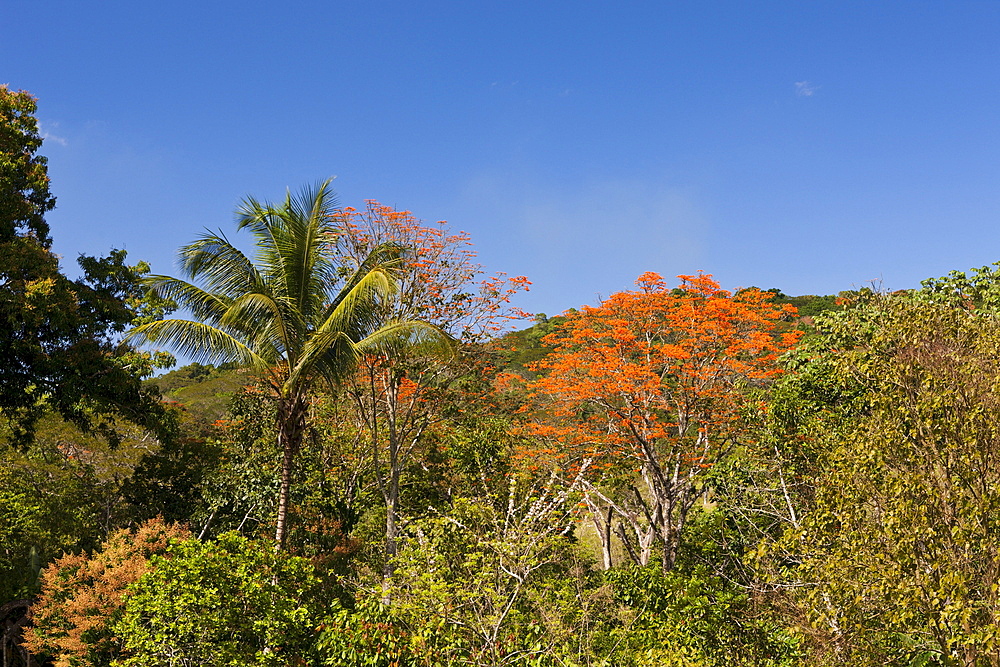 Hills in the Outback, Punta Rucia, Dominican Republic, West Indies, Central America