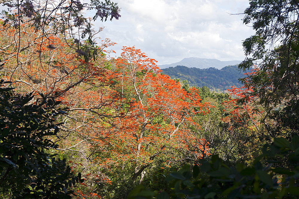 Hills in the Outback, Punta Rucia, Dominican Republic, West Indies, Central America