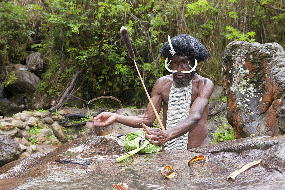 Dani chief showing traditional salt extraction at Jiwika Salt Spring, Baliem Valley, West Papua, Indonesia, Southeast Asia, Asia