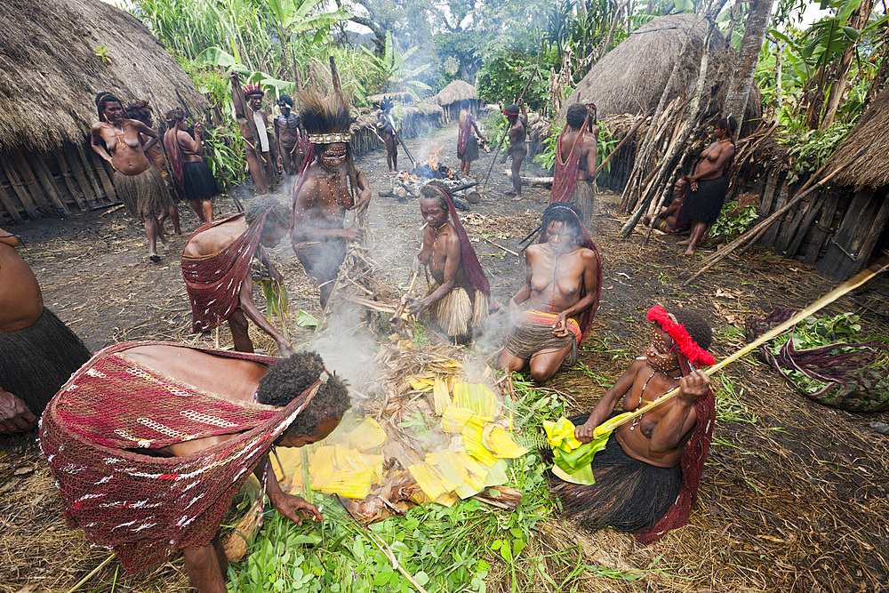 Dani Tribe preparing earth oven, Baliem Valley, West Papua, Indonesia, Southeast Asia, Asia