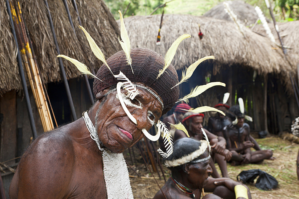 Warrior of Dani tribe, Baliem Valley, West Papua, Indonesia, Southeast Asia, Asia