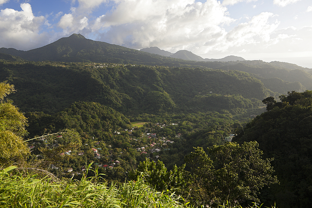 Landscape close to Roseau, Caribbean, Dominica