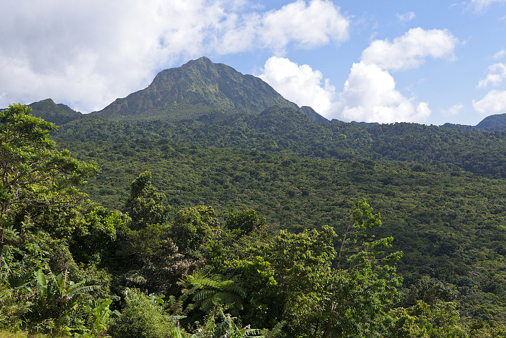 Landscape of Morne Trois Pitons National Park, Caribbean, Dominica