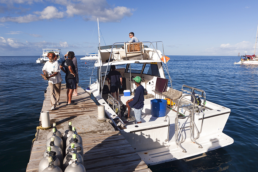 Whale watching Trip, Caribbean Sea, Dominica