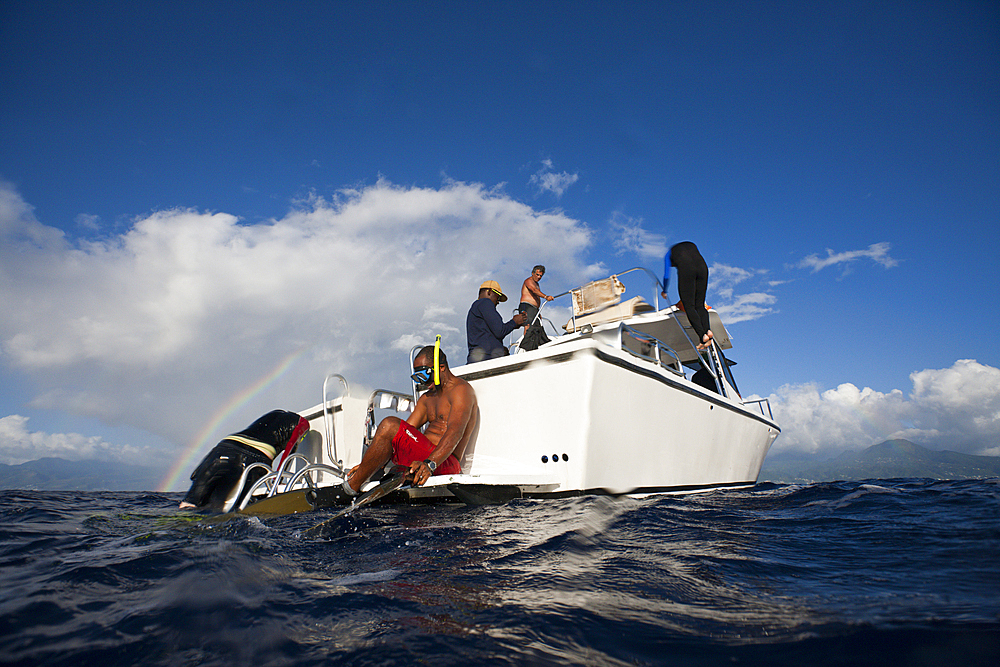 Whale watching Trip, Caribbean Sea, Dominica