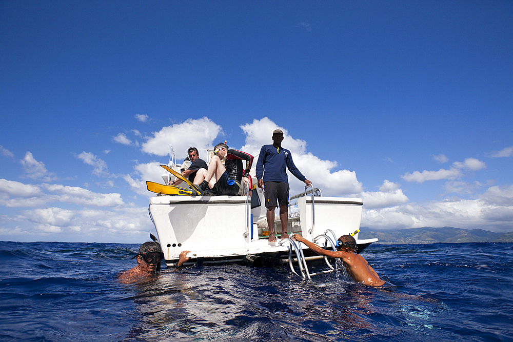 Whale watching Trip, Caribbean Sea, Dominica