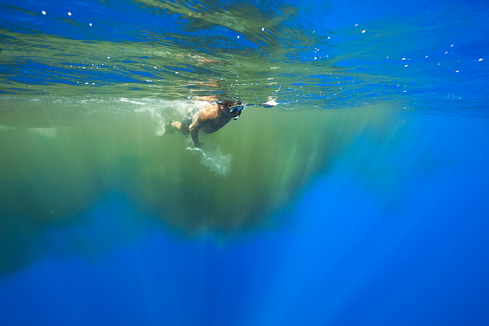 Snorkeler and excrements of Sperm Whale, Physeter macrocephalus, Caribbean Sea, Dominica