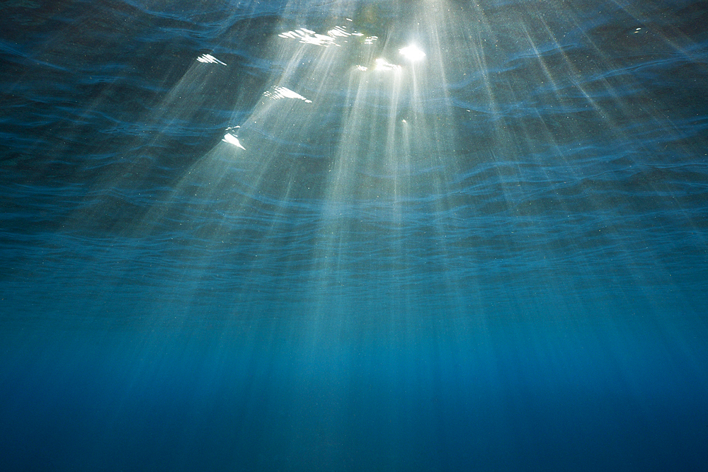 Sunbeams filtering through Water Surface, Caribbean Sea, Dominica