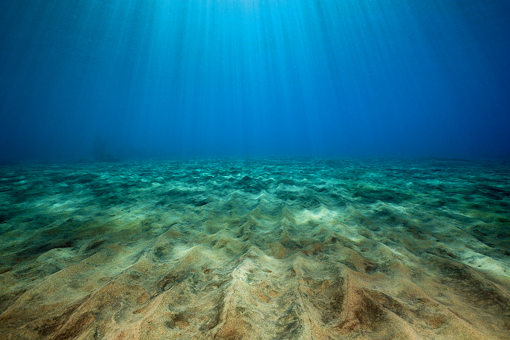 Sunbeams filtering through Water Surface, Caribbean Sea, Dominica