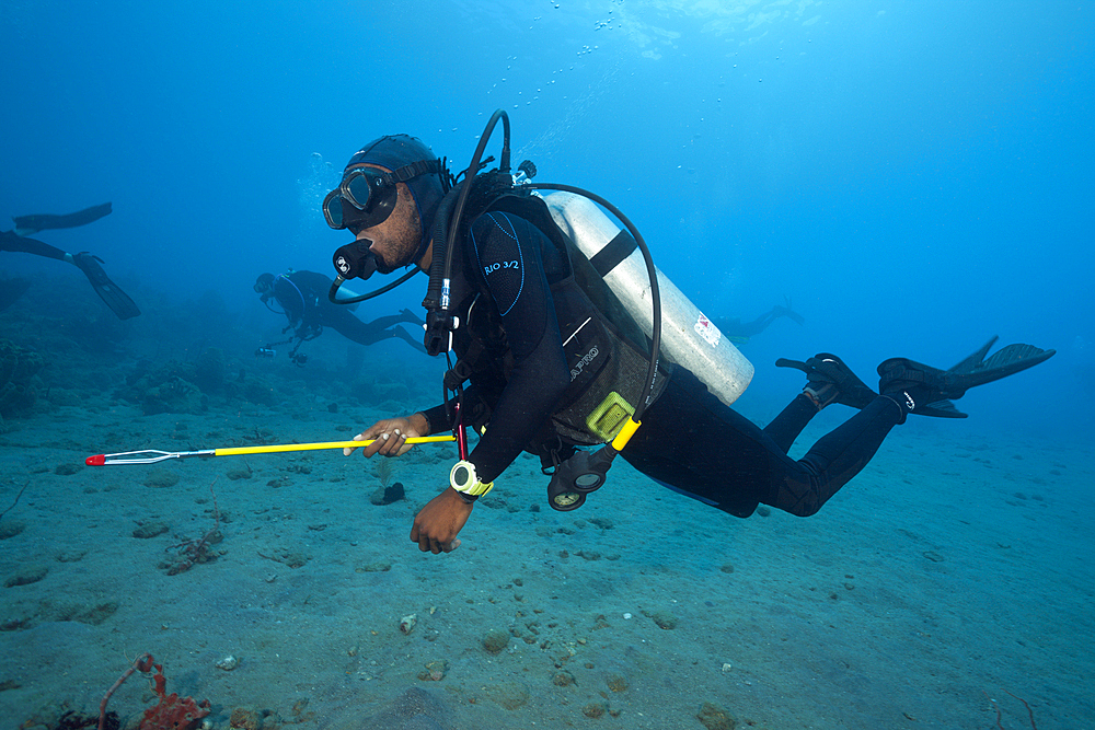 Invasive Lionfish speared by Diver, Pterois volitans, Caribbean Sea, Dominica