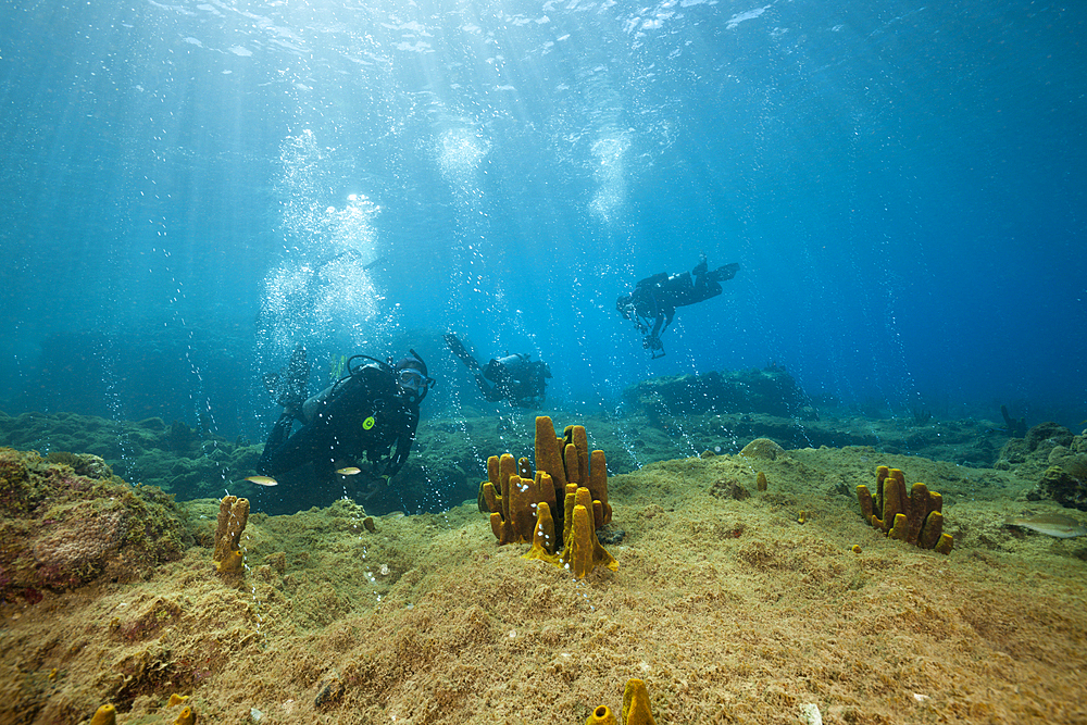 Volcanic Air Bubbles at Champagne Beach, Caribbean Sea, Dominica