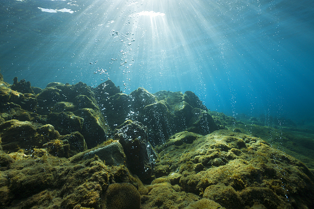 Volcanic Air Bubbles at Champagne Beach, Caribbean Sea, Dominica