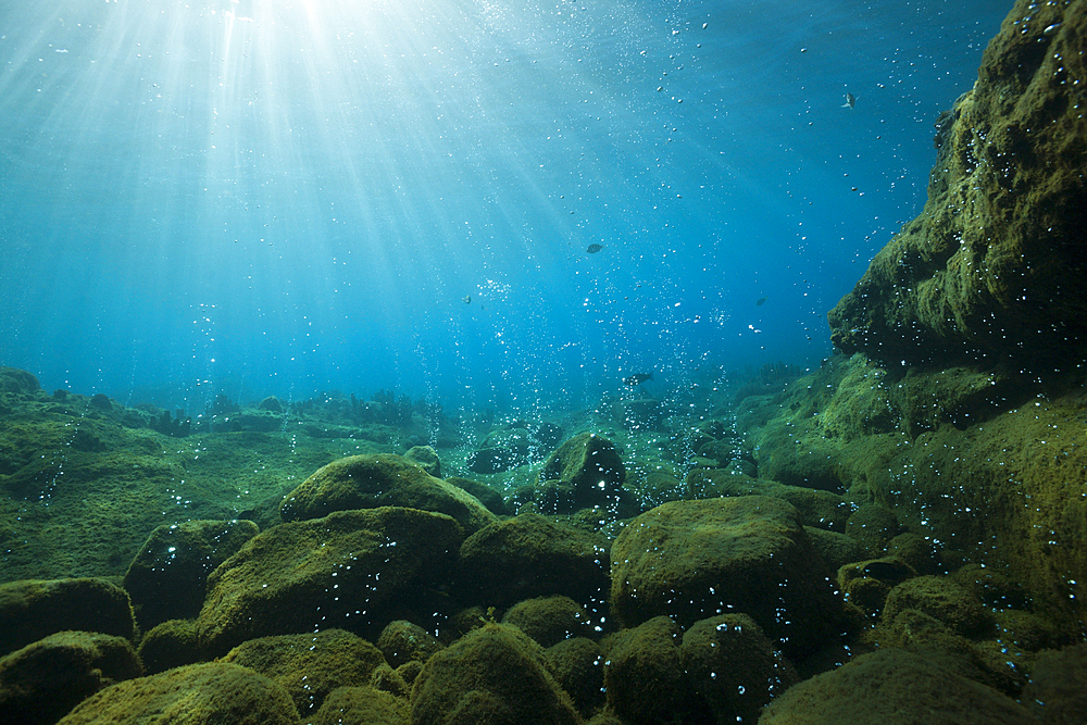 Volcanic Air Bubbles at Champagne Beach, Caribbean Sea, Dominica