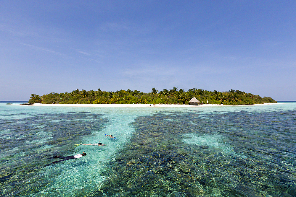 Snorkeling at Eriyadu Island House Reef, North Male Atoll, Maldives