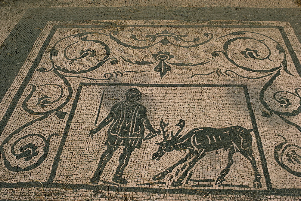 Mosaic trade emblems, Piazzale Delle Corporazioni, Ostia Antica, Lazio, Italy, Europe