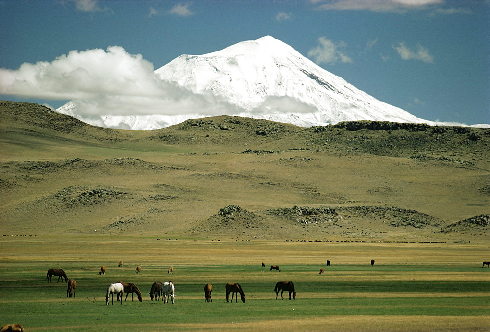 Mount Ararat, Anatolia, Turkey, Asia Minor, Eurasia