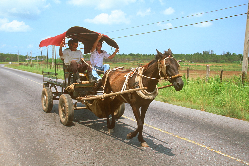 Rural horse drawn carriage, similar carriages are often used because of lack of gasoline, Isle of youth, Cuba