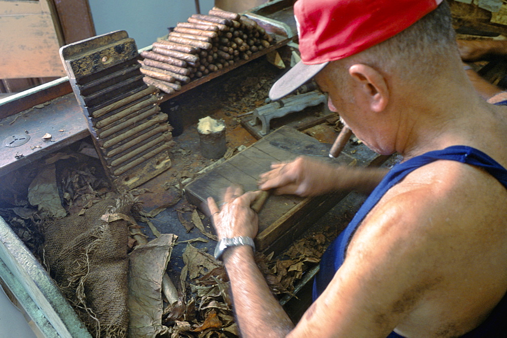 A worker rolling tobacco leaves into cigars in a factory in Baracoa in eastern Cuba, Cuba