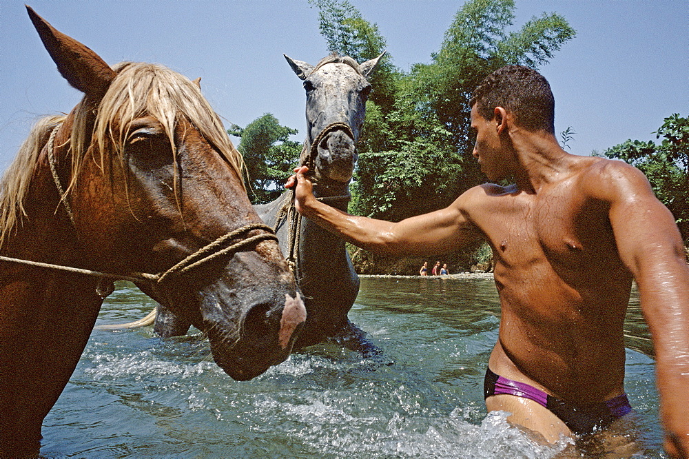 A farmer bathing his horses in the River Miel near Baracoa in eastern Cuba, Cuba