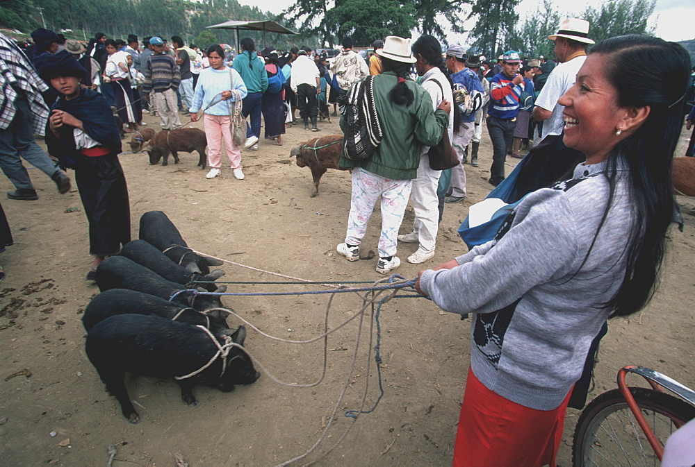 Otavalo Market, one of Latin America's most famous indigenous markets, with livestock, produce, textiles and crafts north of Quito, Ecuador