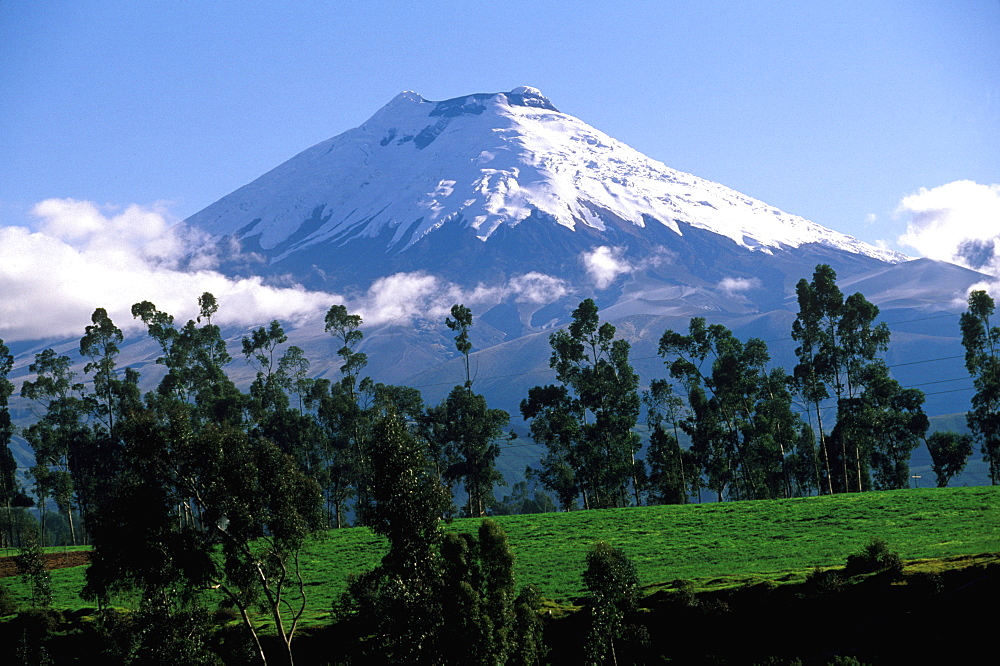 The Avenue of Volcanoes Cotopaxi at 5897 meters is the world's highest active volcano and Ecuador's second highest mountain, Quito, Ecuador