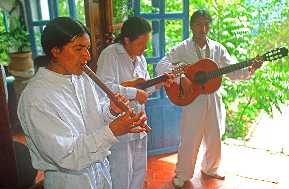 Hacienda Pinsaqui historic hacienda now hotel in highlands north of Otavalo, musicians with traditional charango, queno, guitar and drum, Highlands North of Quito, Ecuador