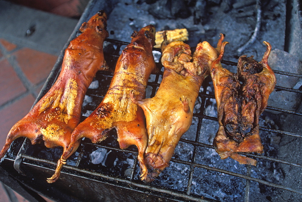 Traditional Food Banos resort and famous hot springs 'Cuy' roasted whole guinea pig, a traditional meat dish dating back to Inca times, Highlands, Ecuador