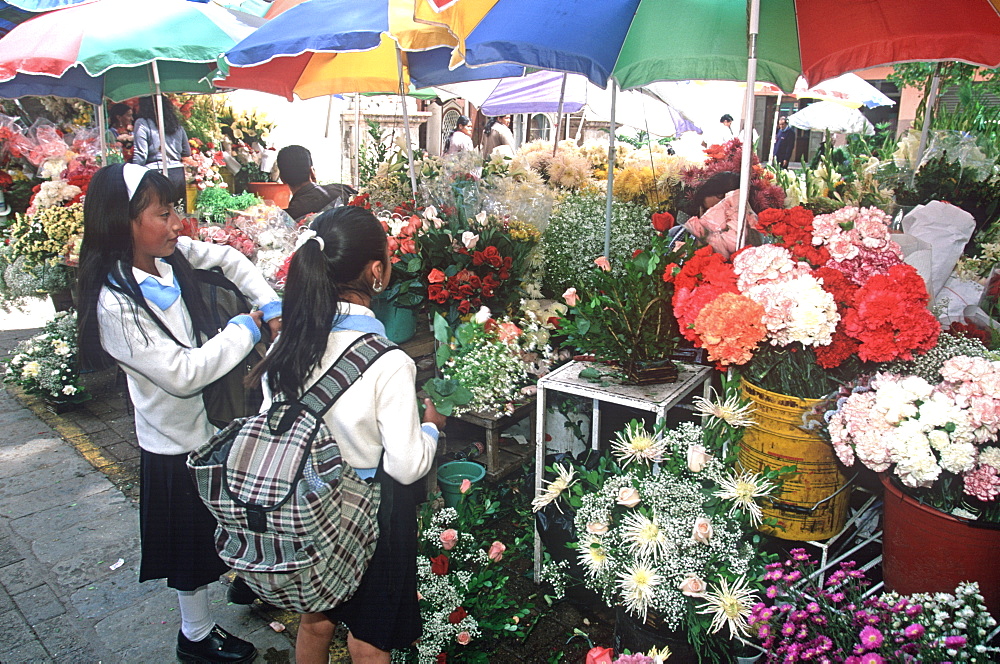 Cuenca World Heritage City & Ecuador's third largest city, famous for its colonial architecture children in flower market off Calderon Park, Highlands, Ecuador