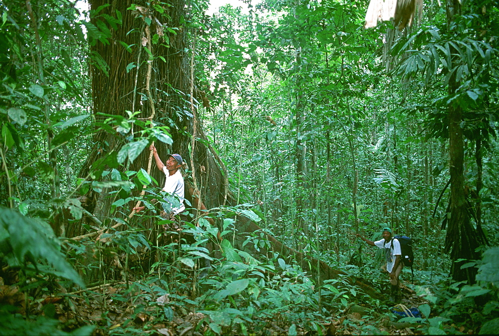 Afro-Ecuadorians in the lowland rainforest near Esmeraldas on the western slopes of the Andes in the Choco Bio-region, North of Quito, Highlands, Ecuador